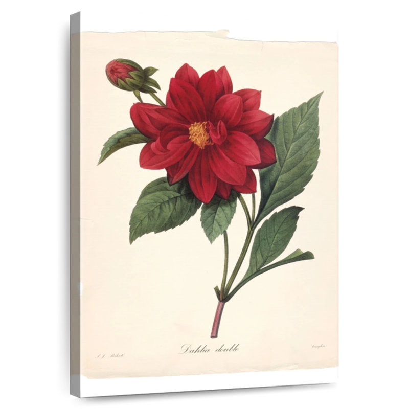Harnek Red Botanical II, H 24 po x l 16 po