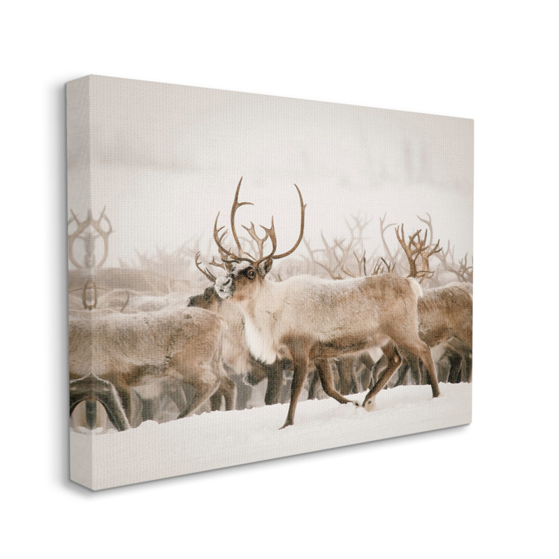 «Elk Herd Snowy Winter Scene» par Krista Broadway - photographie sur toile tendue, H 16 po x l 20 po x P 1,5 po