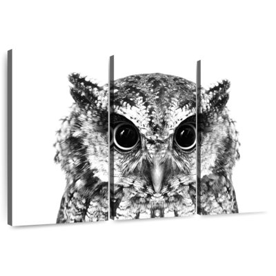 Hibou ensorcelant Brampt