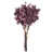 Burgundy selected