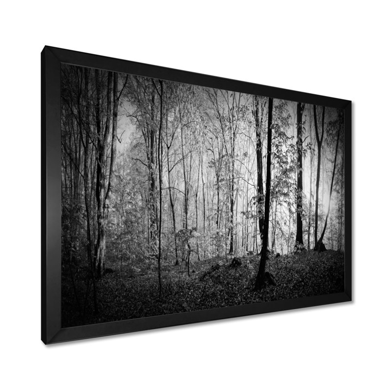 «Beautiful Forest Morning Panorama», reproduction, H 34 po x l 44 po, Cadre photo noir