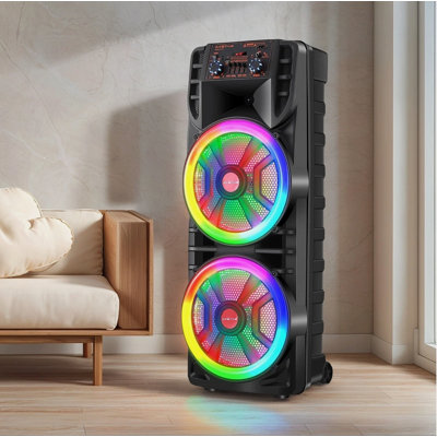 Double haut-parleur de caisson de basses 12 po