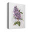 Awash in Lilac II - Impression sur toile tendue-1444877969