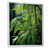 White Floater Framed