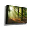 «Rays of Light», art mural sur toile-285148111