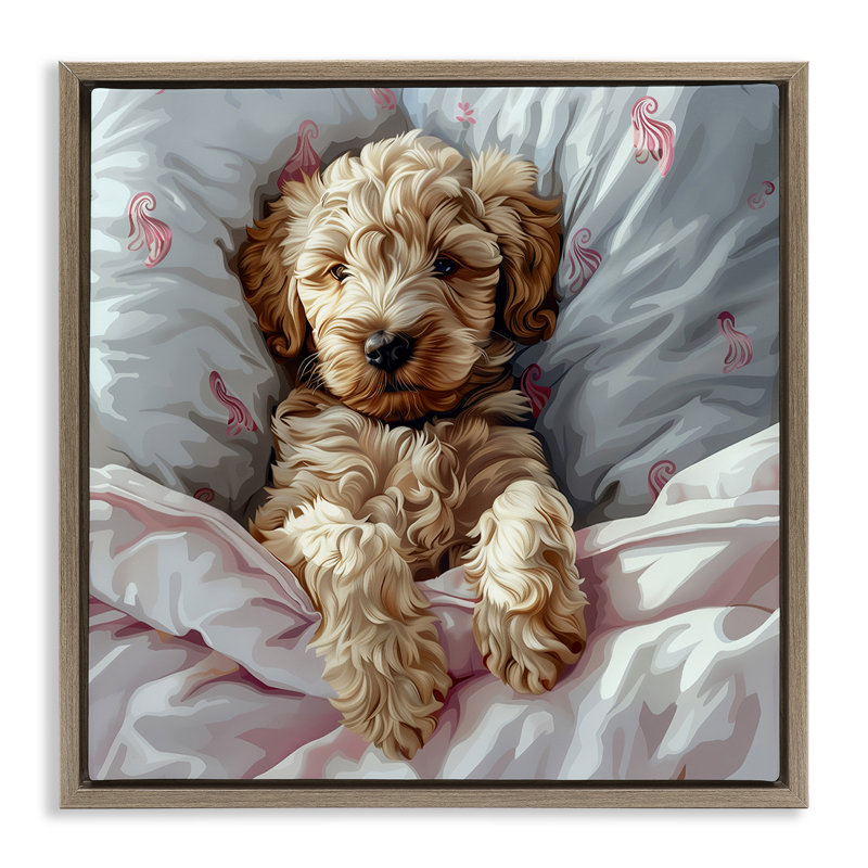  Art mural sur toile «Nap Time Cuddling Labradoodle» par Jim Baldwin, H 25 po x l 25 po, Cadre flottant orme Montalcino