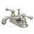 Brushed Nickel selected