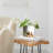 Acrylic Bevel Tabletop Float Frames-333513466-333661632