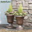 Cappiello Urn Planter