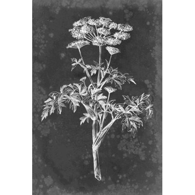 " Slate Floral II " by Ethan Harper