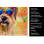 Serviette de cuisine Cairn Terrier Hippie Dawg