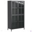 Armoire de rangement en métal avec portes en verre trempé