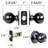 Ball Keyed Entry Door Knob-10310889