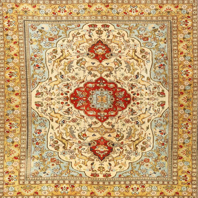 Abirad Oriental Indoor Rug