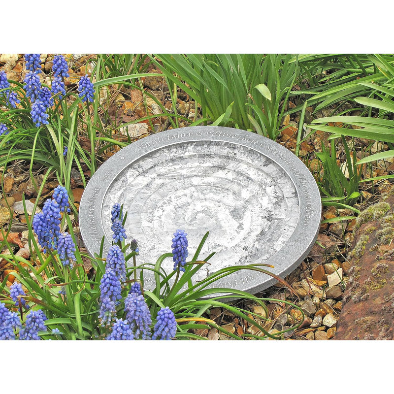 Aymir Single Tier Birdbath
