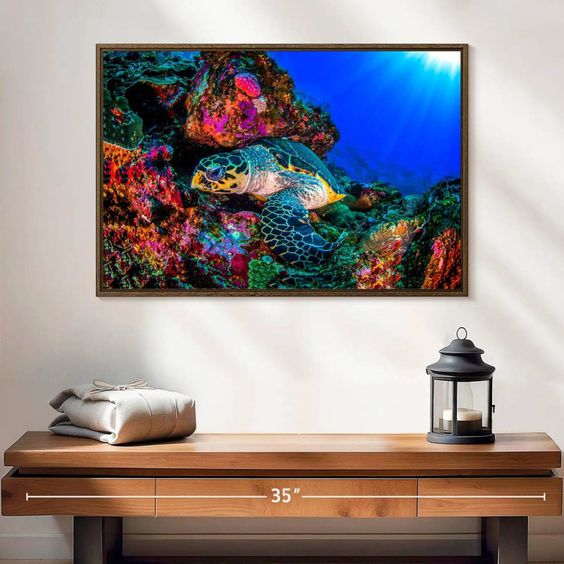 Tortue océan monde, 25 po x 17 po, Cadre flottant noyer
