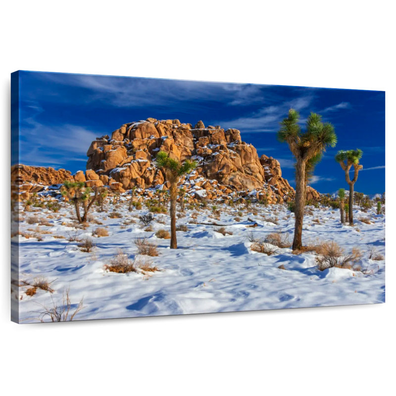 Harnek Joshua Tree National Park Winter, H 26 po x l 39 po