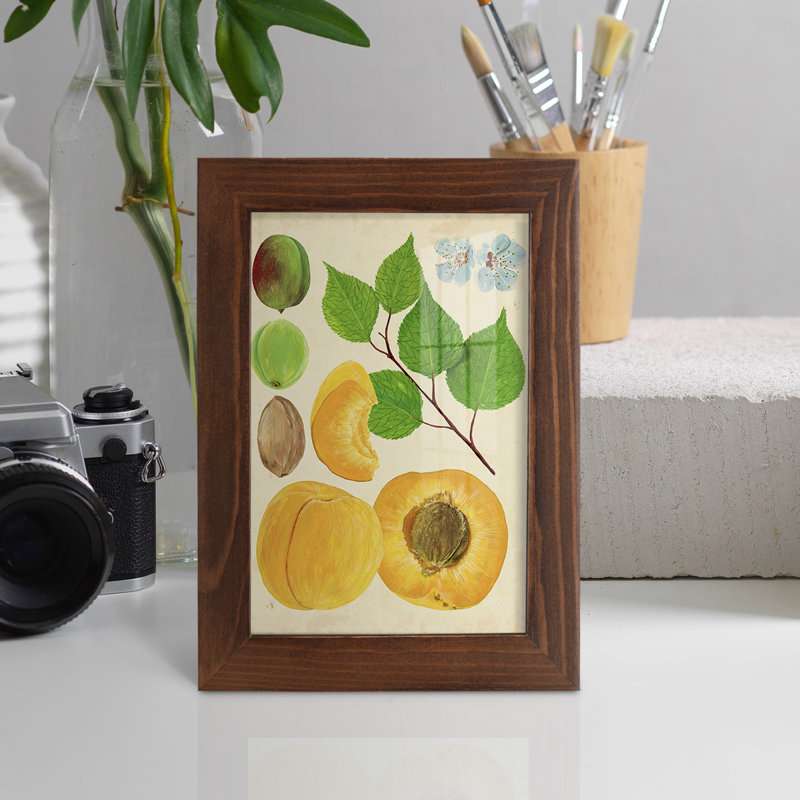 «Apricot Study II», reproduction d'art encadrée, H 7 po x l 5 po x P 1 po, Châtaigne