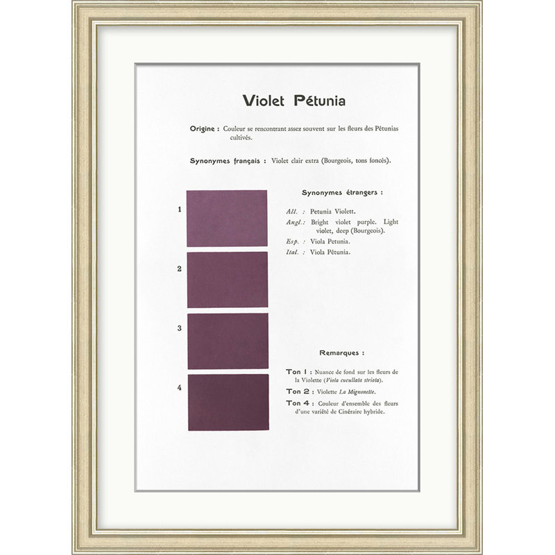 Violet 7 Print by Danielle Rollins