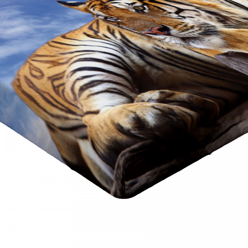 Drap-housse safari, Drap-housse simple TG