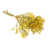Yellow is out of stock