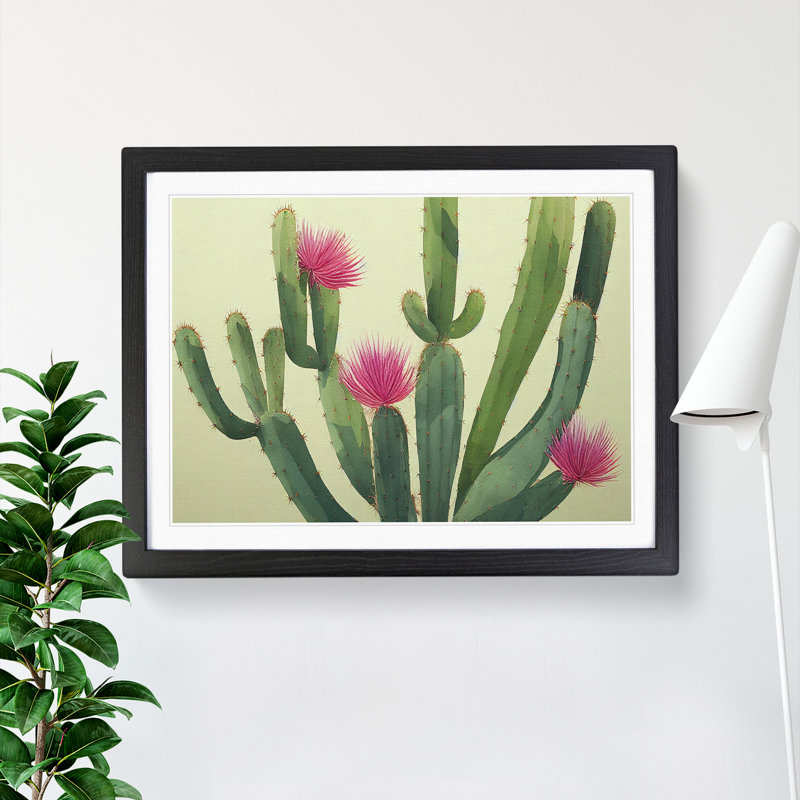 Stimulating Cactus - Framed Print, Black, 46cm H x 64cm W x 2cm D