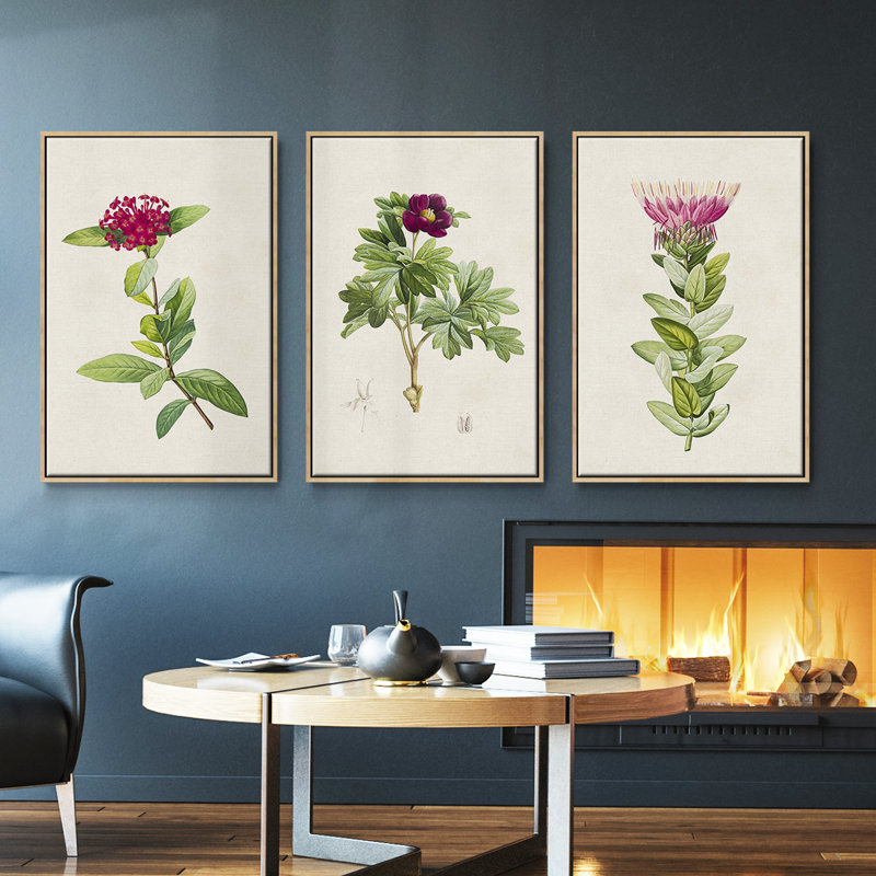 «Pretty Pink Botanicals II», ensemble de 3 toiles encadrées, H 36 po x l 72 po, Naturel