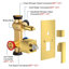 Brushed Gold Shower Faucet Set 10 inch Rain Shower Head Combo with Tub Spout Kit
