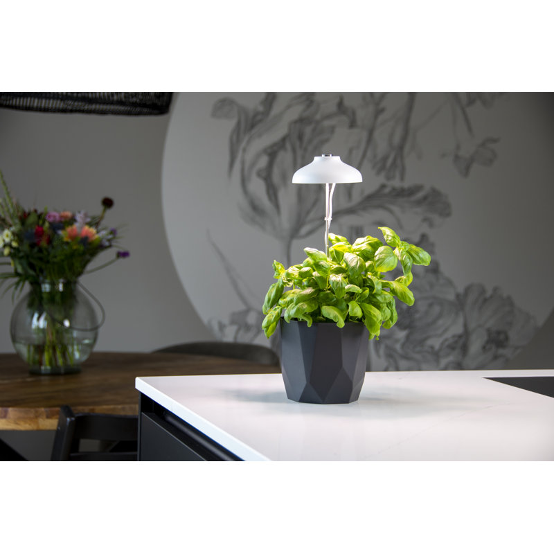 Plant Grow Lamp White