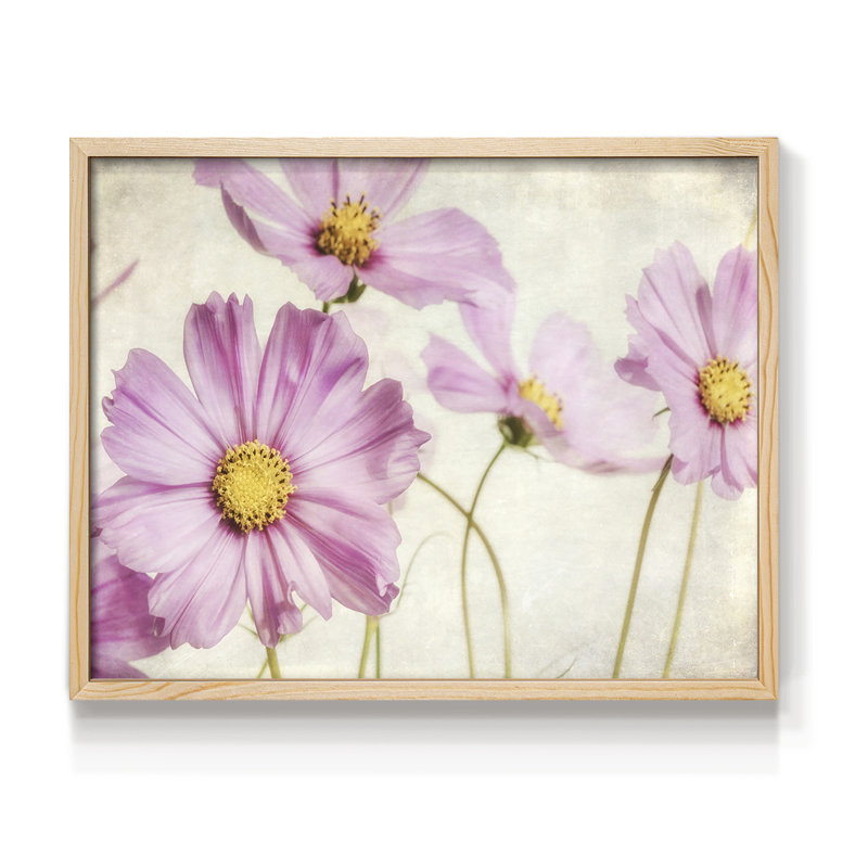 «Pink Cosmos I», reproduction encadrée, H 16 po x l 20 po, Naturel
