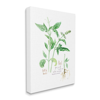 Art de toile tendue sur toile de basilic «Best of Herbs» par Verbrugge