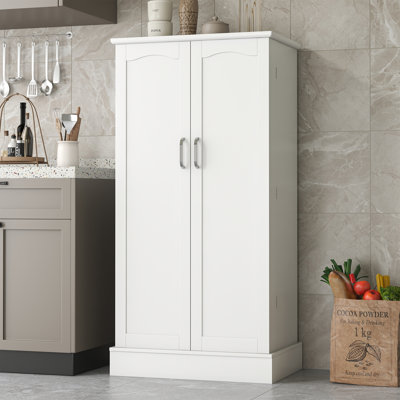 Malarie 47" Kitchen Pantry by Red Barrel Studio