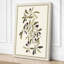 Olive Branches Study Botanical - Wrapped Canvas-1543131288-1543131294