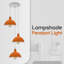3 - Light Cluster Pendant-228782939-228782938-228782918