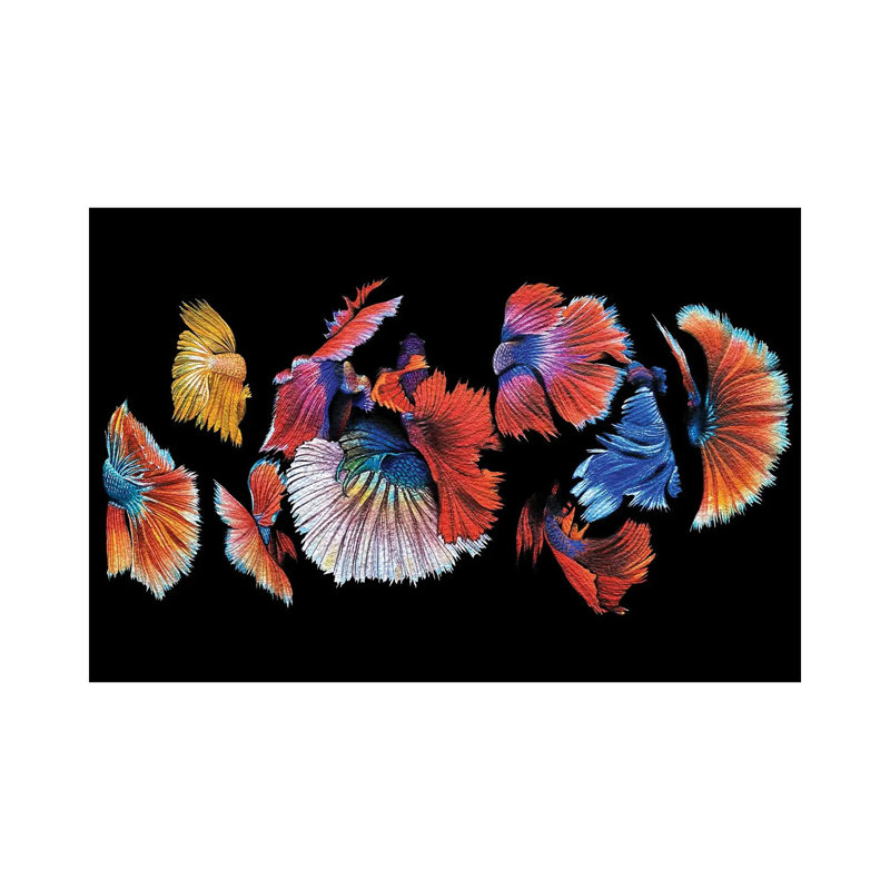 Koi Black Background by Liam Kumawat - Wrapped Canvas Painting, 20.32 cm H x 30.48 cm W