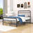Assunta Metal Platform Bed with Headboard-794205386