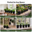 Plant Stand