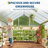Large Walk-In Heavy Duty Polycarbonate Greenhouse for Outdoors with Aluminum Frame, Quick Setup, Roof Vent, Adjustable Windows & Lockable Door for Garden or Backyard, 8x12 FT (Original Color)-125367277-125367282