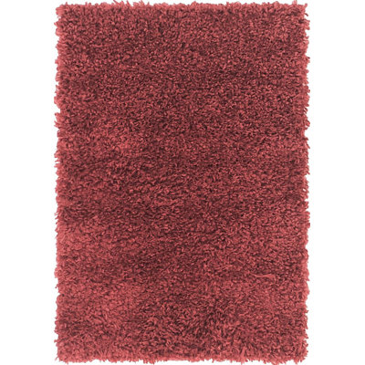 Carlosadrian Oriental Indoor Rug