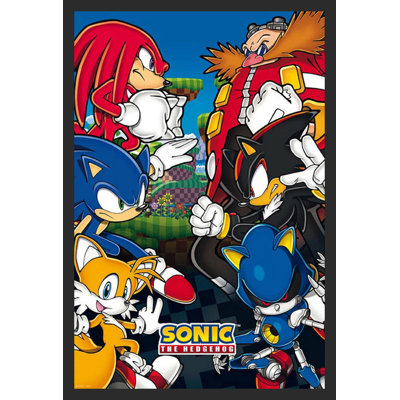 " Sonic The Hedgehog - Group "
