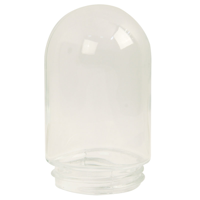 16 cm H Novelty Glass Lamp Shade ( Screw On ), Clear