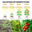 200W Dimmable Full Spectrum LED Grow Light, Sunlike Quantum Board Red & IR, Fanless Indoor Plant Lamp