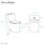 Toilette carrée une pièce à double chasse Concorde, or brossé 1,1 / 1,6 gallon Concorde-121280654-121280655