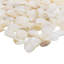 Oyster 12x12 Pebbles Polished Pearl Mosaic Tile