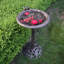 Bain d'oiseaux Wendling-1553776888