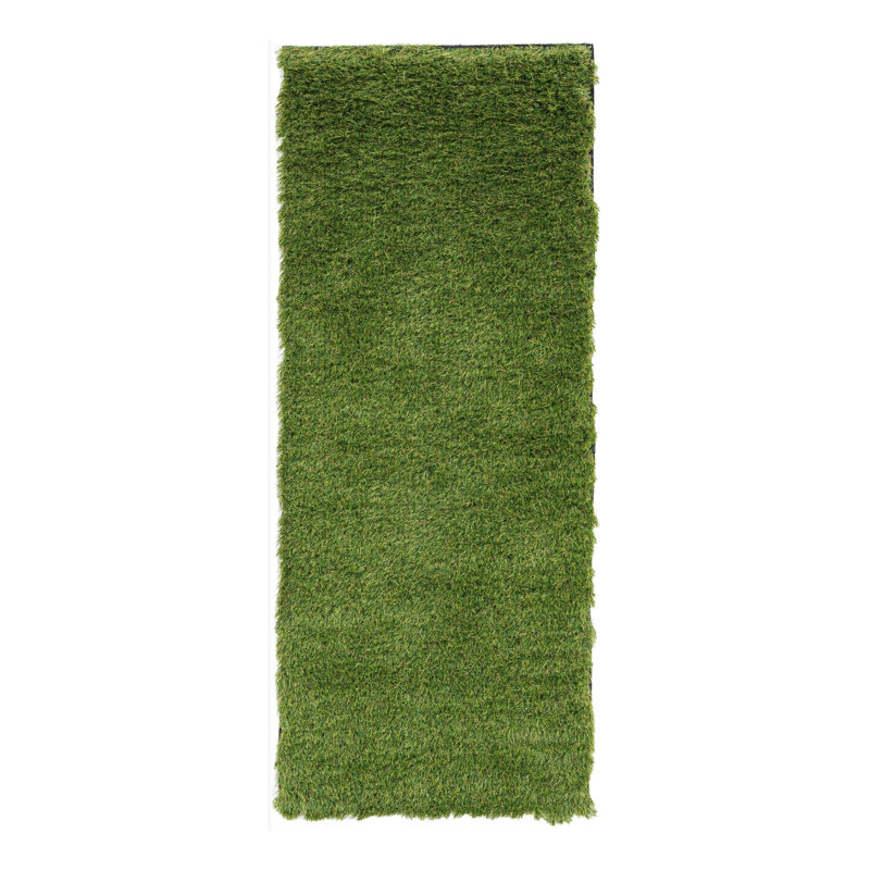 Tapis intérieur / extérieur Cathlyn, Tapis de couloir 2 pi x 5 pi 1 po