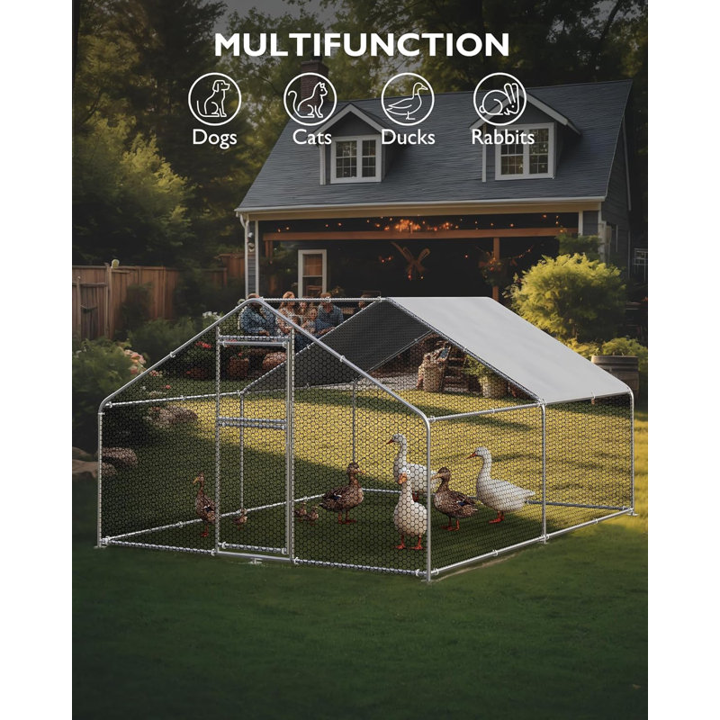Chicken Run with Wire Mesh