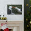 No Frame Print on Canvas-1453578034