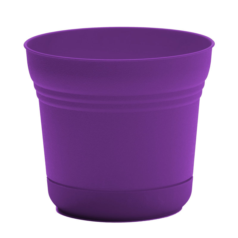 Saturn Traditional Plastic Indoor/Outdoor Round Planter with Saucer, 8.5" H x 9.75" W x 9.75" D, Royal Lilac