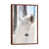Brown Floater Framed